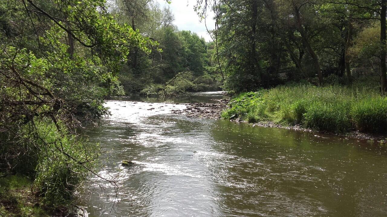 Ferienwohnungen "Am Fuerstenweg" Neuwied Buitenkant foto