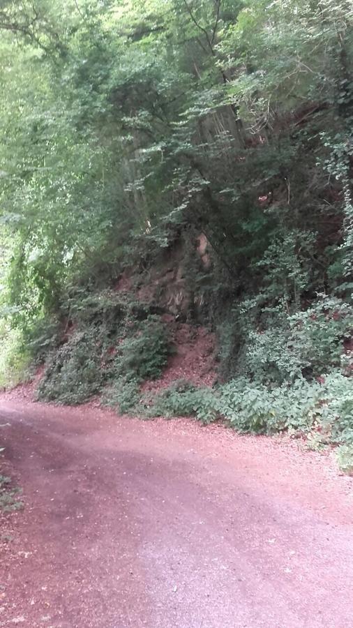Ferienwohnungen "Am Fuerstenweg" Neuwied Buitenkant foto