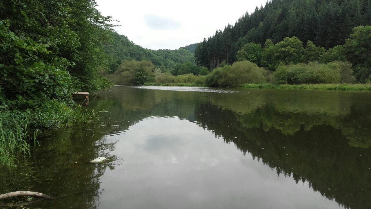 Ferienwohnungen "Am Fuerstenweg" Neuwied Buitenkant foto