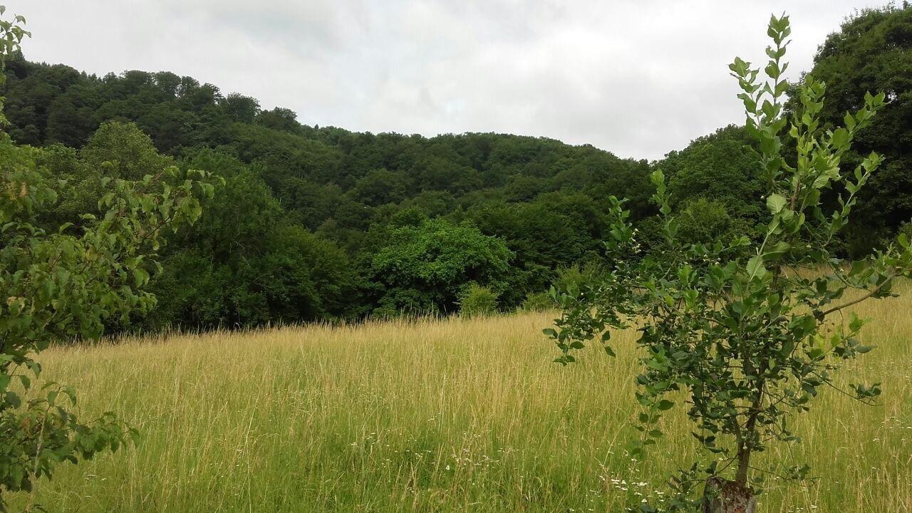 Ferienwohnungen "Am Fuerstenweg" Neuwied Buitenkant foto