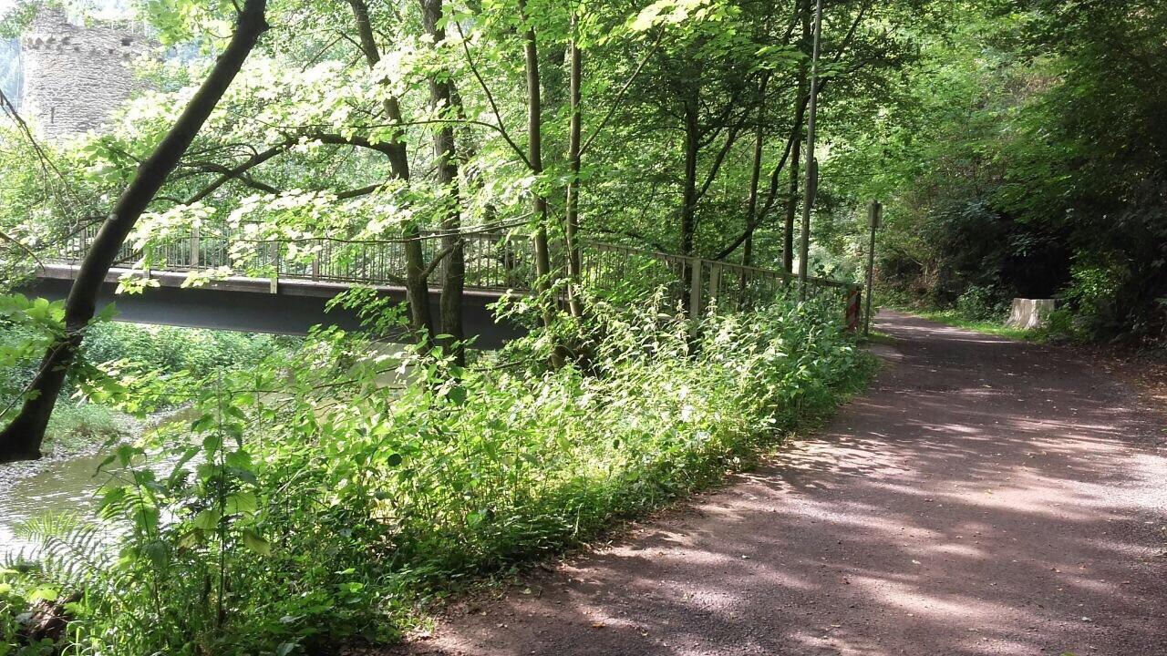 Ferienwohnungen "Am Fuerstenweg" Neuwied Buitenkant foto