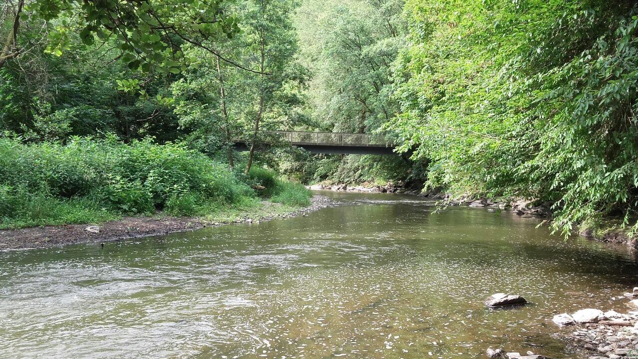 Ferienwohnungen "Am Fuerstenweg" Neuwied Buitenkant foto